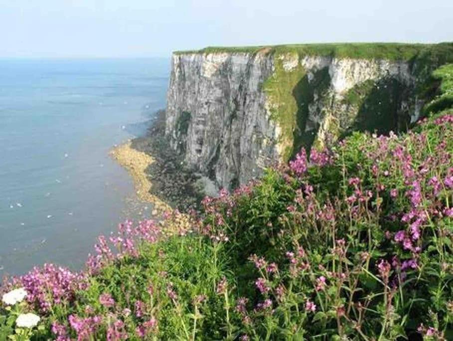 Large Cottage, Beach, Pubs Shops, Netflix, Bbq, Dog Friendly Hunmanby Bagian luar foto
